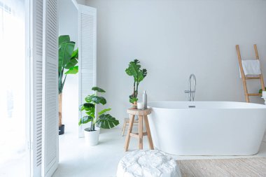 Modern banyo, yeşil bitkiler ve ahşap elementlerle donatılmış ekstra beyaz ve çok hafif minimalist zarif bir banyo.