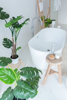 Modern banyo, yeşil bitkiler ve ahşap elementlerle donatılmış ekstra beyaz ve çok hafif minimalist zarif bir banyo.