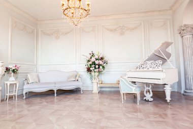 Barok tarzında, oturma odasının ışıltılı iç kısmı eski moda mobilyaları, sütunları, duvarlarında sıva olan kraliyet kalesi gibi.