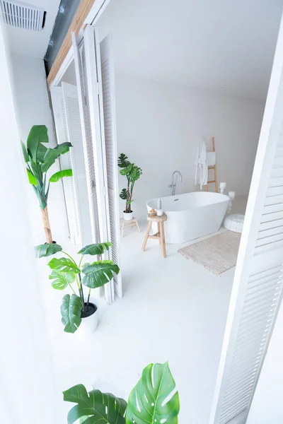 Extra Bílý Velmi Lehký Minimalistický Stylový Elegantní Interiér Koupelny Moderní — Stock fotografie