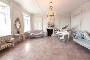 Barok tarzında, oturma odasının ışıltılı iç kısmı eski moda mobilyaları, sütunları, duvarlarında sıva olan kraliyet kalesi gibi.