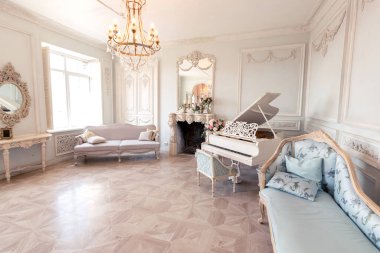 Barok tarzında, oturma odasının ışıltılı iç kısmı eski moda mobilyaları, sütunları, duvarlarında sıva olan kraliyet kalesi gibi.