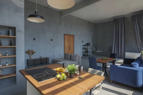 モダンなミニマルなダークグレーのロフトスタイルのスタジオのアパートのインテリアデザイン キッチン シッティングエリア シャワーとバス 明るい太陽の光が — ストック写真