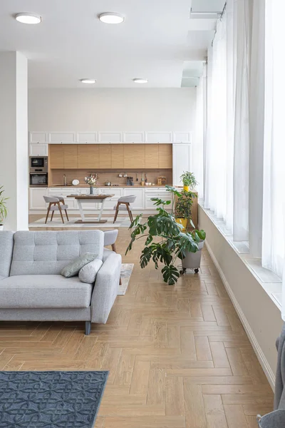 Minimalista Moderno Diseño Interior Enorme Apartamento Luminoso Con Plan Abierto —  Fotos de Stock