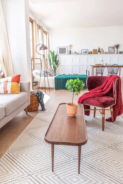 stock image Vintage studio apartment interior in light colors in old style. huge room with large windows with a living room area and a bedroom area. direct sunlight inside.