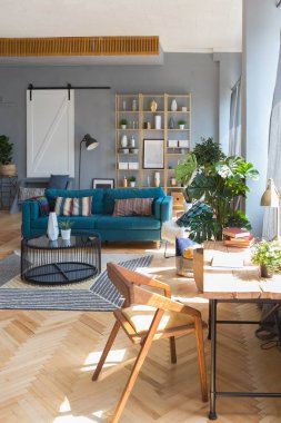 Geniş, açık bir İskandinav tarzı, oturma ve uyku alanları olan bir stüdyonun zarif yaratıcı modern modası.