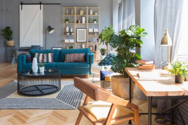 Geniş, açık bir İskandinav tarzı, oturma ve uyku alanları olan bir stüdyonun zarif yaratıcı modern modası.