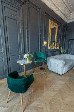 19. yüzyılın Rönesans tarzında modern lüks mobilyaları olan şık bir oda. Asil koyu renkli duvarlar alçı ve yaldızlı çerçevelerle süslenmiş, ahşap parke..