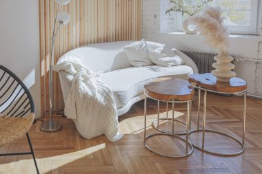 Ahşap elementleri ve beyaz duvarları olan geniş bir oturma odasının pahalı, hafif, lüks iç tasarımı. Orijinal ve alışılmadık dekoratif şeylerle dolu.