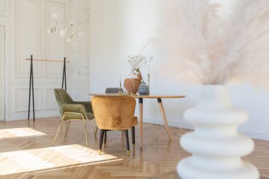 Ahşap elementleri ve beyaz duvarları olan geniş bir oturma odasının pahalı, hafif, lüks iç tasarımı. Orijinal ve alışılmadık dekoratif şeylerle dolu.