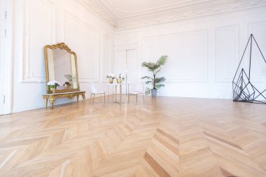 Eski bir malikanede, beyaz duvarlarda alçı kaplama ve altın elementli kadife mobilyalarla süslenmiş yüksek tavanlı, eski bir 19. yüzyıl tarzında şık, ferah, parlak bir daire.