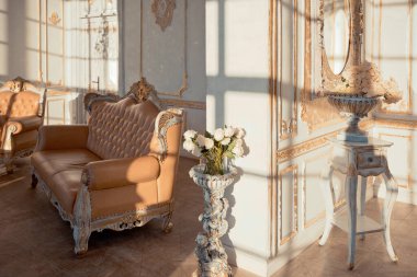 Duvarlarında altın barok süslemeleri ve lüks mobilyaları olan zengin bir daire. Oda batan güneşin ışınlarıyla dolup taşıyor.