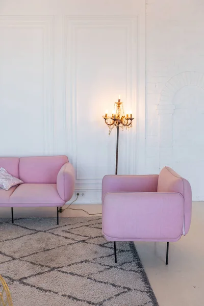 Delikat Och Mysigt Ljus Interiör Vardagsrummet Med Moderna Eleganta Möbler — Stockfoto