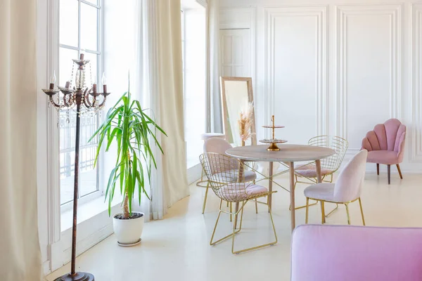 Delicada Acogedora Luz Interior Sala Estar Con Muebles Modernos Elegantes —  Fotos de Stock