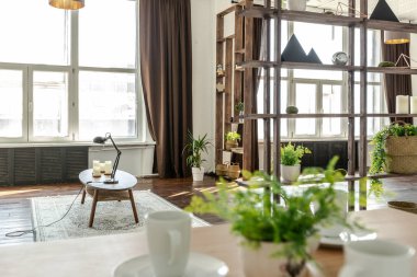 Ahşap ve beyazla dekore edilmiş geniş bir stüdyo daire. Minimalist tasarım ve güneş ışığı altında kocaman pencereler. Mutfak ve yaşam alanı