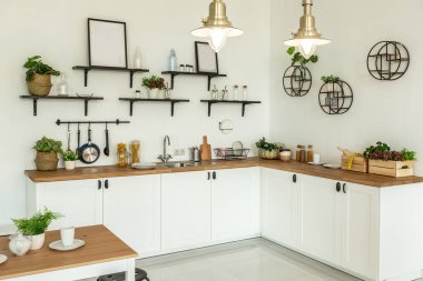 Ahşap ve beyazla dekore edilmiş geniş bir stüdyo daire. Minimalist tasarım ve güneş ışığı altında kocaman pencereler. Mutfak ve yaşam alanı
