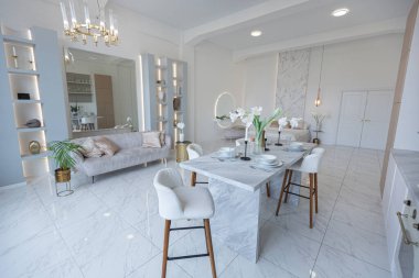 Mutfak alanı, yatak odası ve kanepenin arkasında kocaman aynası olan modern geniş bir stüdyo dairesinin minimalist hafif zarif tasarımı. Zeminde fayanslar ve yüksek tavan.