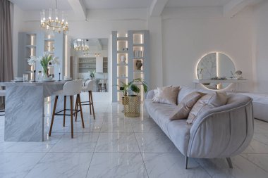 Mutfak alanı, yatak odası ve kanepenin arkasında kocaman aynası olan modern geniş bir stüdyo dairesinin minimalist hafif zarif tasarımı. Zeminde fayanslar ve yüksek tavan.