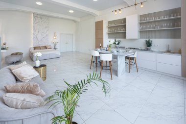 Mutfak alanı, yatak odası ve kanepenin arkasında kocaman aynası olan modern geniş bir stüdyo dairesinin minimalist hafif zarif tasarımı. Zeminde fayanslar ve yüksek tavan.