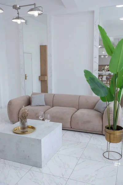 Vardagsrum Med Mjuka Beige Möbler Ljus Lyxig Inredning Modern Lägenhet — Stockfoto