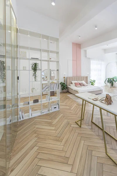 Rymlig Öppen Planlösning Lägenhet Med Snygg Modern Ljus Design Klädloge — Stockfoto