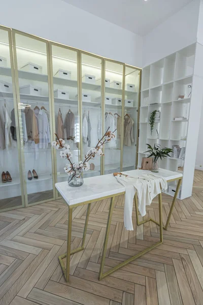 Fashionabla Omklädningsrum Med Glasdörrar Med Guldkant Rymlig Öppen Planlösning Lägenhet — Stockfoto