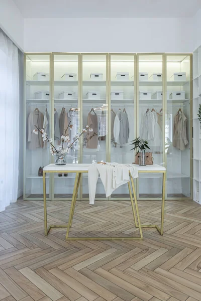 Модна Роздягальня Скляними Дверима Золотим Оздобленням Просторій Квартирі Відкритим Плануванням — стокове фото