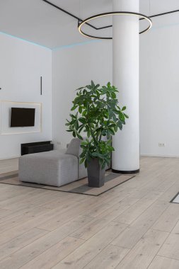 Güneşli bir günde mermer süslemeli pahalı bir evin minimalist modern lüks tasarımı. Alçılı beyaz duvarlar, parke, dekoratif ışıklandırma ve içeride kimse yok.