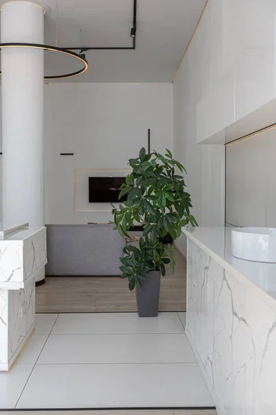 Keuken Eetkamer Eiland Met Hoge Barkrukken Een Minimalistisch Modern Luxe — Stockfoto