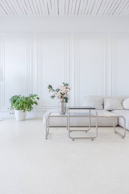 Işıl ışıl bir oturma odasının içinde lüks bir barok tarzında beyaz duvarları antika sıva ile dekore edilmiş.