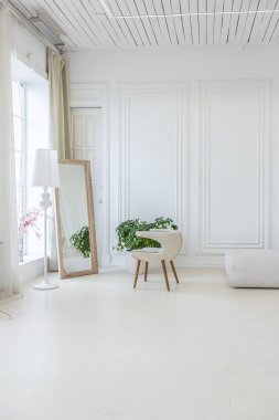 Işıl ışıl bir oturma odasının içinde lüks bir barok tarzında beyaz duvarları antika sıva ile dekore edilmiş.