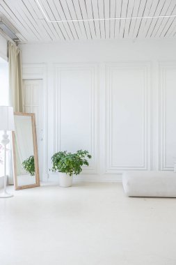 Işıl ışıl bir oturma odasının içinde lüks bir barok tarzında beyaz duvarları antika sıva ile dekore edilmiş.