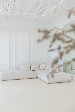 Işıl ışıl bir oturma odasının içinde lüks bir barok tarzında beyaz duvarları antika sıva ile dekore edilmiş.