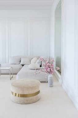 Işıl ışıl bir oturma odasının içinde lüks bir barok tarzında beyaz duvarları antika sıva ile dekore edilmiş.