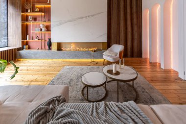 Şöminesi, dekoratif panelleri ve ışığı yumuşak gün ışığında, insanlar olmadan, pastel renklerde olan modern bir oturma odasının içi..