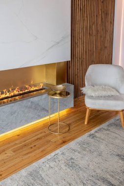 Şöminesi, dekoratif panelleri ve ışığı yumuşak gün ışığında, insanlar olmadan, pastel renklerde olan modern bir oturma odasının içi..