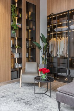 Yüksek tavan tavanı, ahşap dekorasyonu ve gri duvarları olan büyük, modern, geniş bir dairede ışık saçan şık bir soyunma odası.