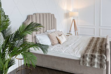 Pastel renklerde modern lüks daireler. Gün ışığıyla dolu kocaman pencereli çok parlak bir oda. Beyaz duvarlar, ahşap parke döşemeler ve koyu mermer bir şömine.