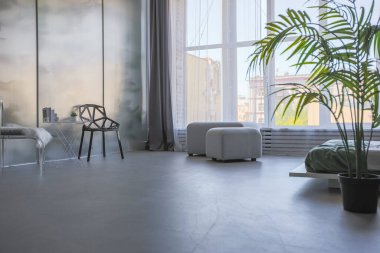 Modern bir stüdyoda, yeşil bitkilerle beyaz-gri renkli şık bir iç mekan. Gün ışığı ve içeride kimse yok.