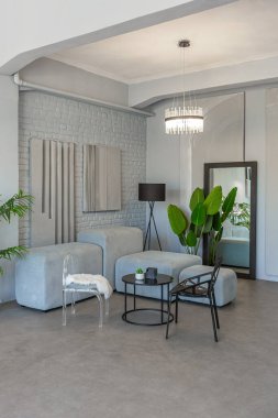 Modern bir stüdyoda, yeşil bitkilerle beyaz-gri renkli şık bir iç mekan. Gün ışığı ve içeride kimse yok.