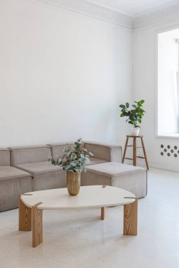 Geniş oturma odasının parlak iç tasarımı beyaz duvarlar ve tavan üzerindeki dekoratif eşsiz tarihi pervazlar insanların pencerelerden içeri girmediği sıcak renklerde modern mobilyalar.