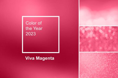 2023 yılının yeni moda rengi Viva Magenta. Moda rengi palet örneği. Soyut bulanık kumaş renkleri kolajı. Yaşasın Magenta!