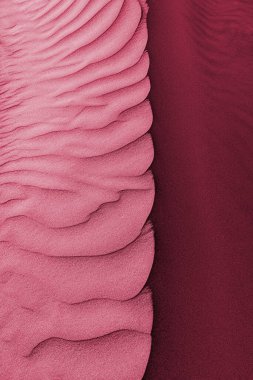 Kum tepecikleri yüzeye çıkıyor. Yazın kumsal kumsalına yakın çekim. Viva Magenta 'nın 2023 yılının modaya uygun renginde