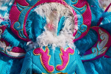 Mardi Gras 'da 23 Şubat 2020' de düzenlenen büyük karnaval 'da maskeli ve maskeli insanlar Mardi Gras' da