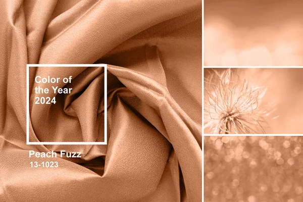Персиковий Фугас Колір 2024 Року Кілька Текстур Колажу Тонованих Моді Стокове Зображення