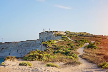 Dolambaçlı patika, bitki örtüsüyle kaplı kayalık bir tepenin içinden geçiyor. Sıcak altın ışıkla yıkanmış.