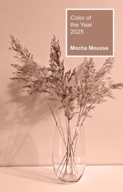 Mocha Mousse - 2025 yılının rengi. Cam vazodaki kurutulmuş pampalar hafif arka planda