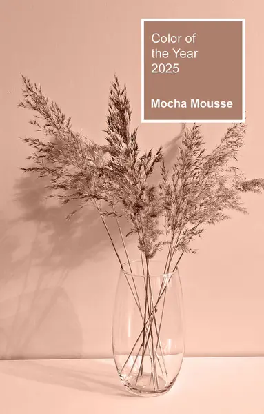 Mocha Mousse - 2025 yılının rengi. Cam vazodaki kurutulmuş pampalar hafif arka planda