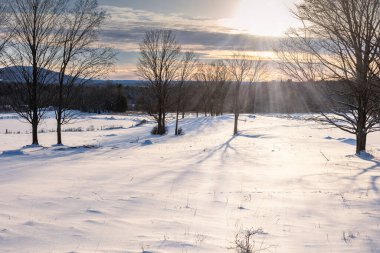 Frosty day in snowy area. Location place of Quebec Canada. Magnificent wintry wallpapers. Christmas holiday concept. Happy New Year Discover the beauty of earth.