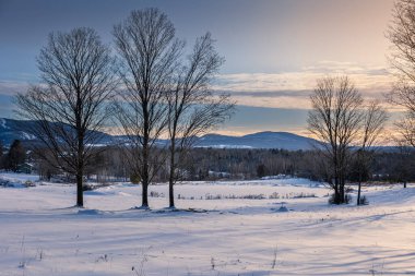 Frosty day in snowy area. Location place of Quebec Canada. Magnificent wintry wallpapers. Christmas holiday concept. Happy New Year Discover the beauty of earth.